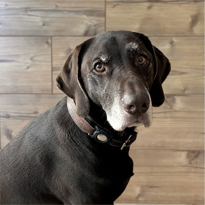 Oskar